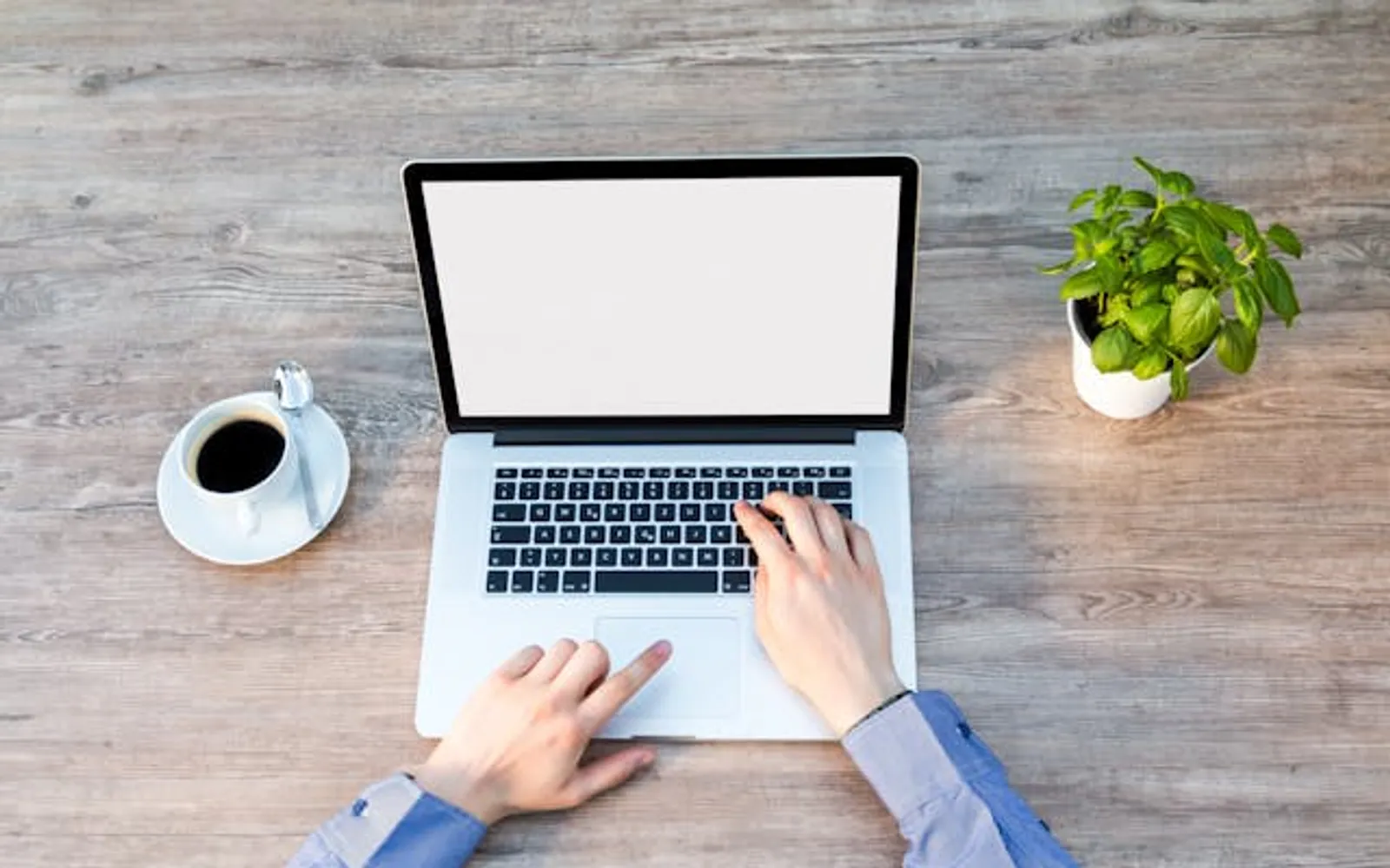 Mâinile unui profesionist la laptop, pe un birou cu o cafea și o plantă